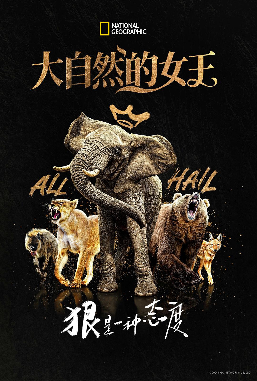 爱儿本