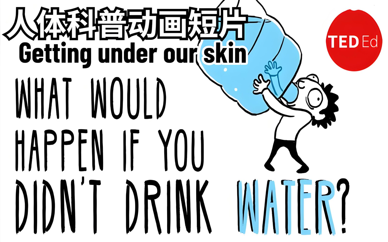 爱儿本
