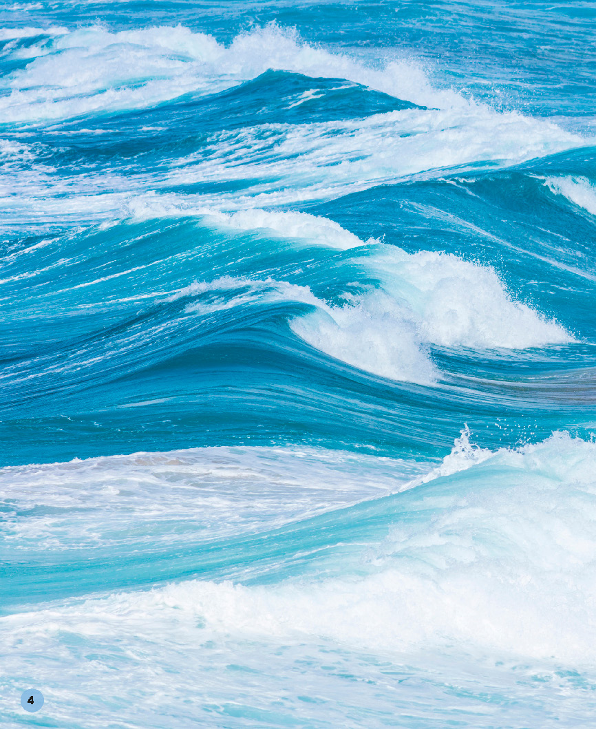 1728401478891188.jpg 【DK】-Earths Incredible Oceans-地球上不可思议的海洋(2021)_页面_06.jpg