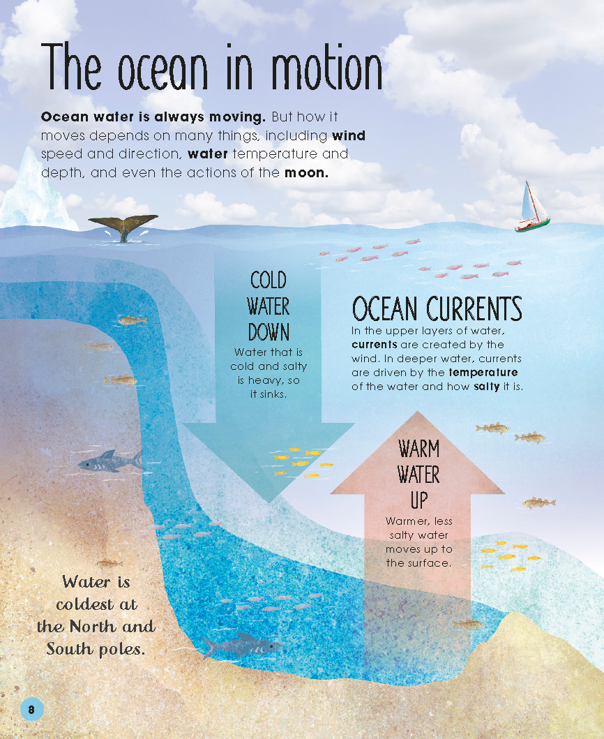 1728401523720159.jpg 【DK】-Earths Incredible Oceans-地球上不可思议的海洋(2021)_页面_10.jpg