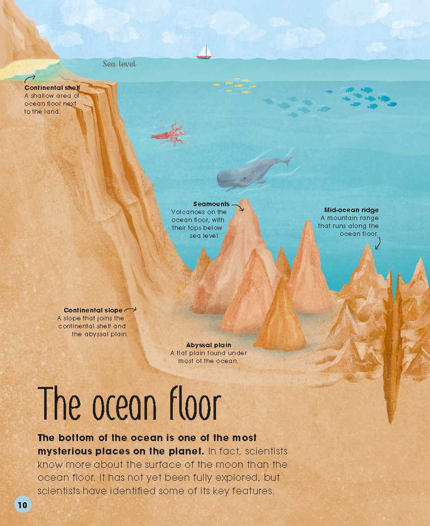 1728401543639027.jpg 【DK】-Earths Incredible Oceans-地球上不可思议的海洋(2021)_页面_12.jpg