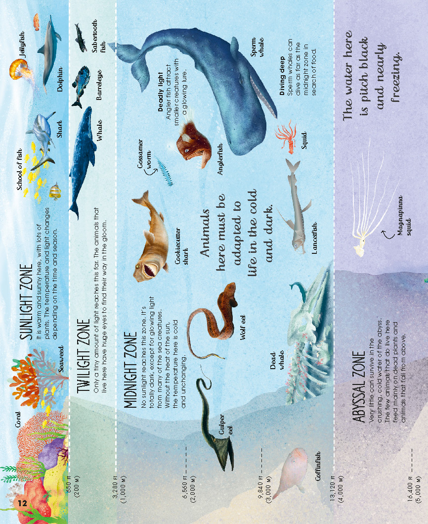 1728401554363776.jpg 【DK】-Earths Incredible Oceans-地球上不可思议的海洋(2021)_页面_14.jpg