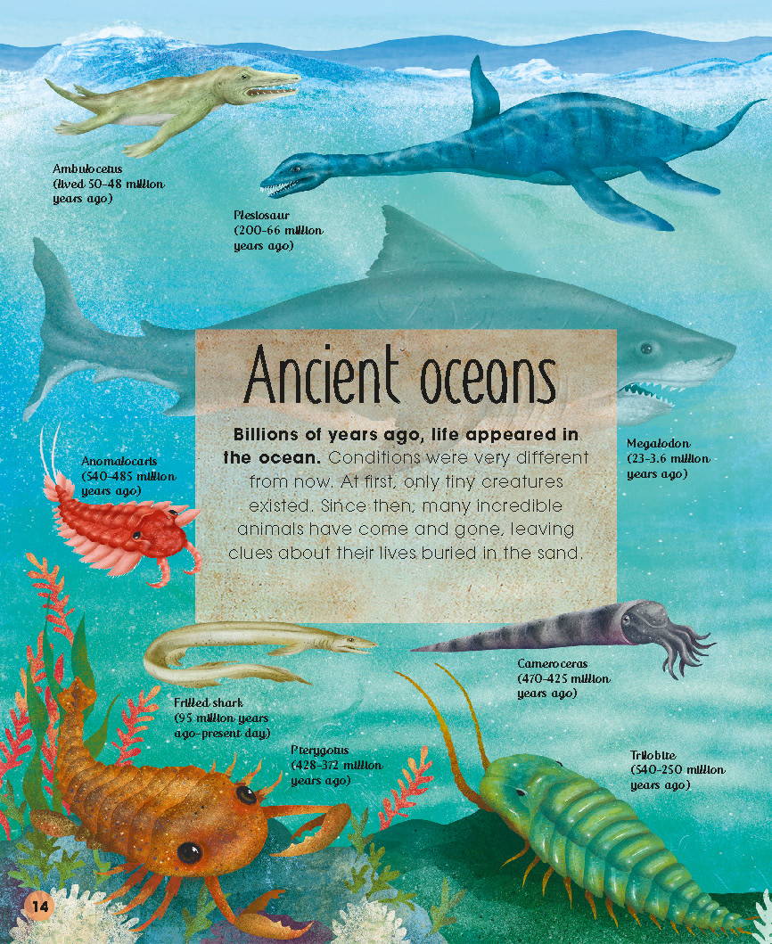 1728401566586798.jpg 【DK】-Earths Incredible Oceans-地球上不可思议的海洋(2021)_页面_16.jpg