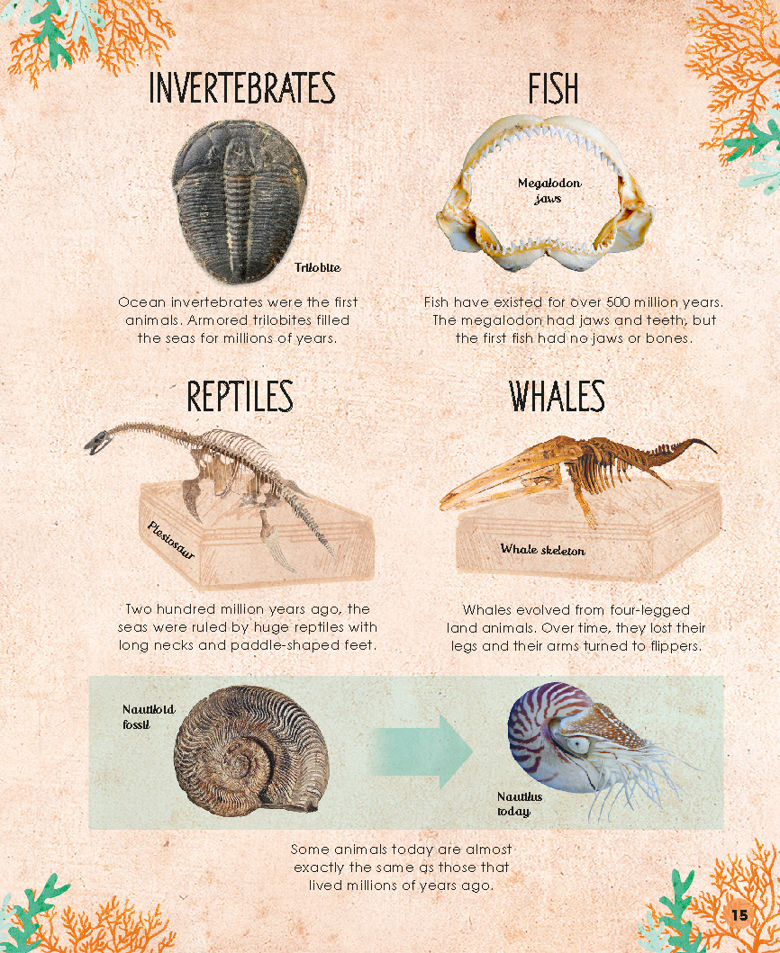 1728401575202641.jpg 【DK】-Earths Incredible Oceans-地球上不可思议的海洋(2021)_页面_17.jpg