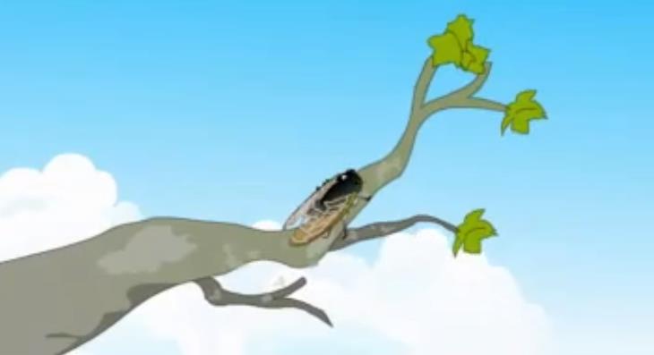 1583386453117991.jpg 001.jpg