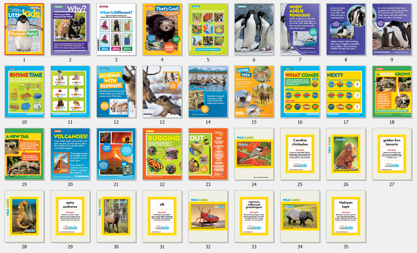 1604285502155988.png image.png