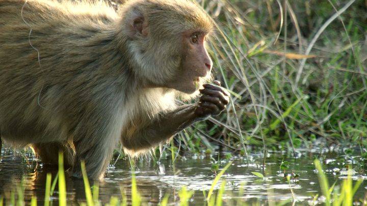 1621184059132052.jpg p56617486.jpg