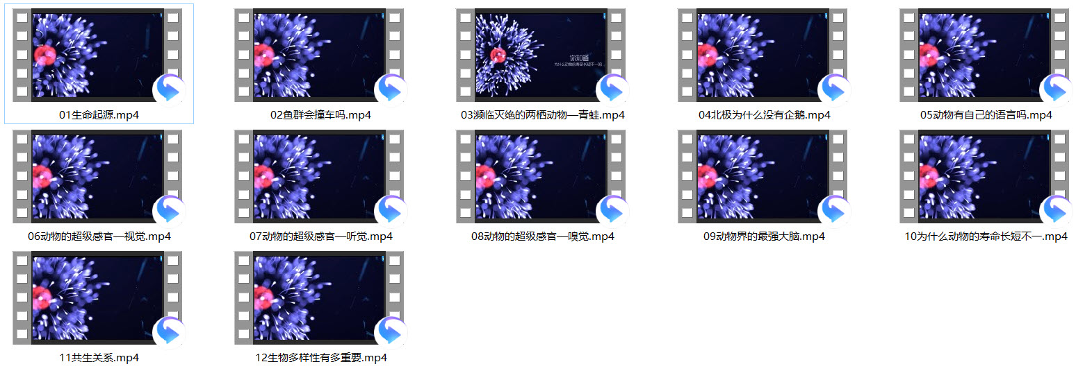 1629609144416123.jpg 03.jpg