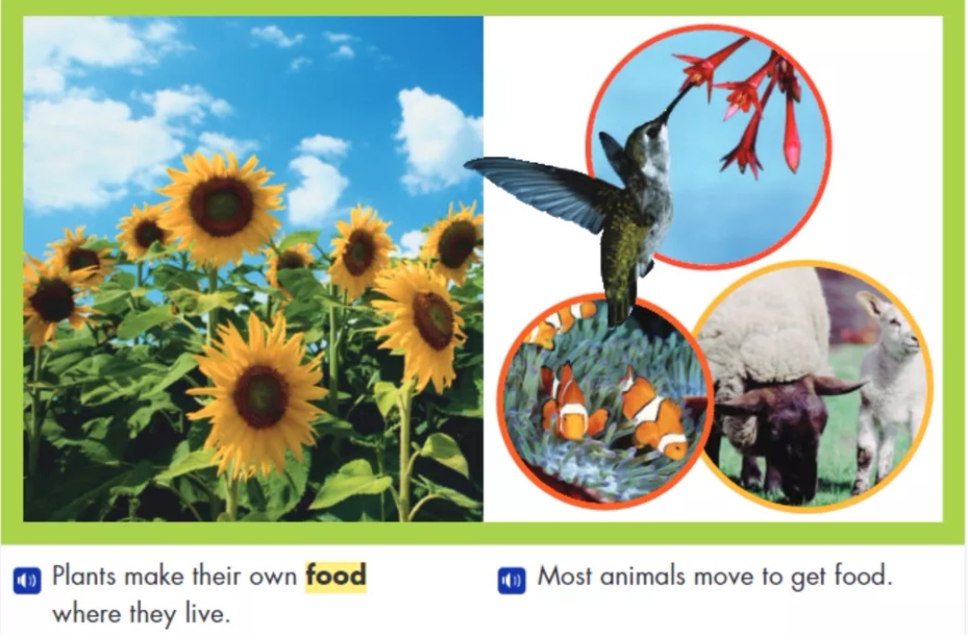 1660394663140208.jpg Screenshot_20220813_200519_com.tencent.mm_edit_595866370472098.jpg