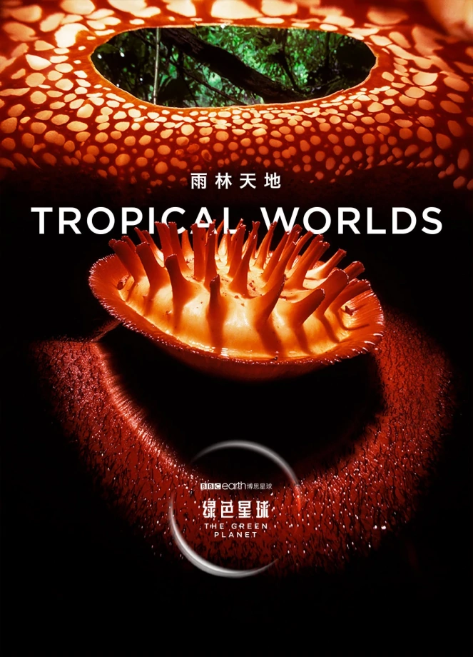 1653762381851807.jpg 001.jpg