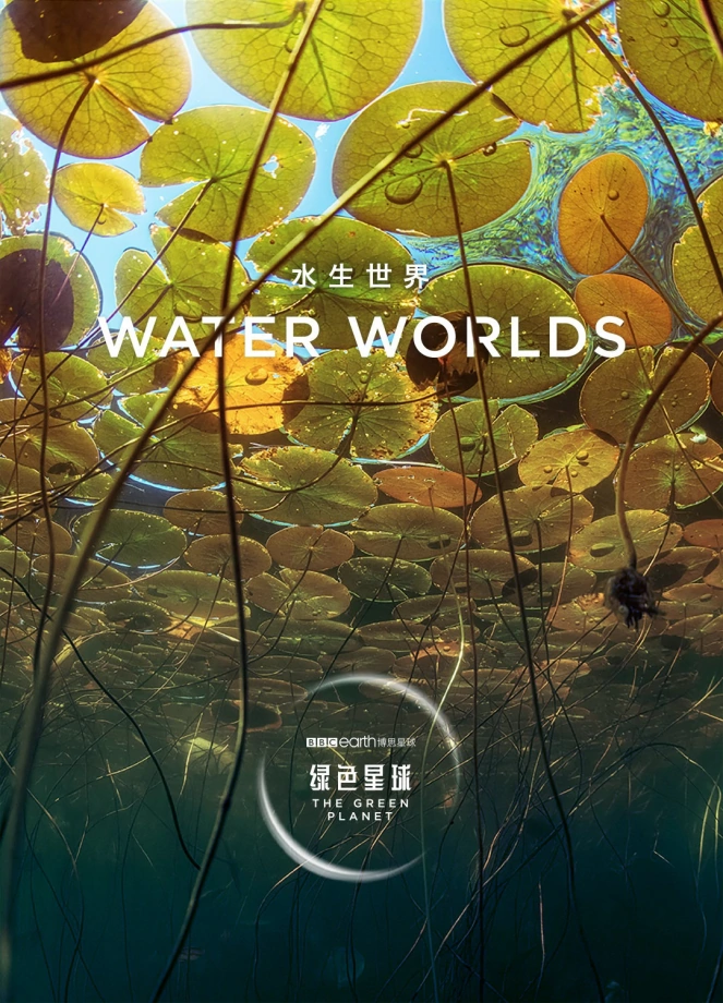 1653762395868522.jpg 002.jpg