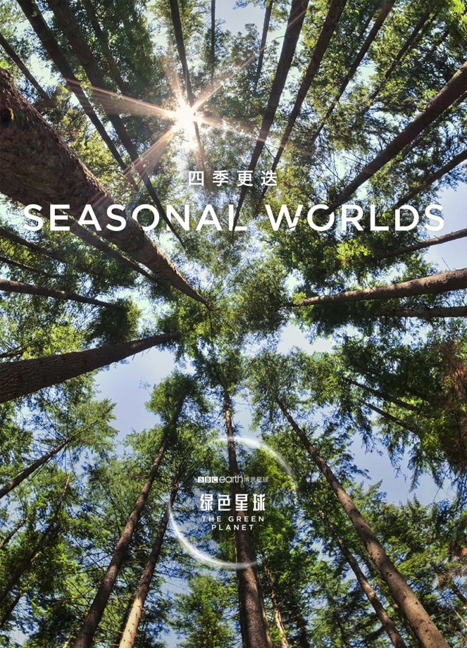 1653762406219946.jpg 003.jpg