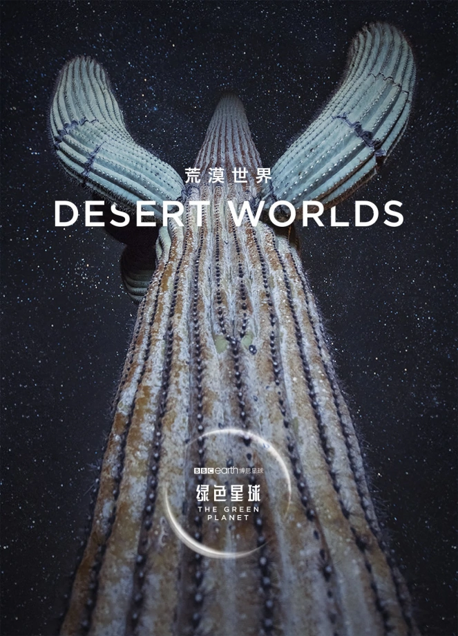 1653762411795277.jpg 004.jpg