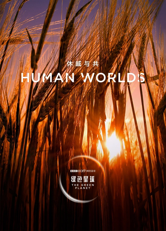 1653762422810607.jpg 005.jpg