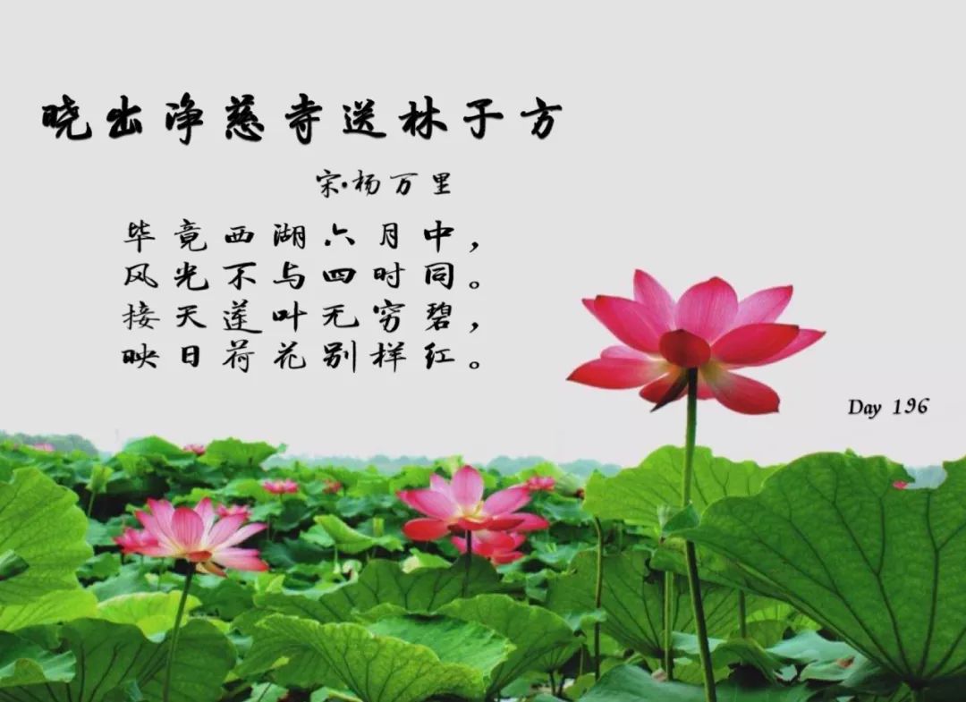 1709900646253551.jpg 第02课·字体设计三原则.avi_20240308_073027308.jpg