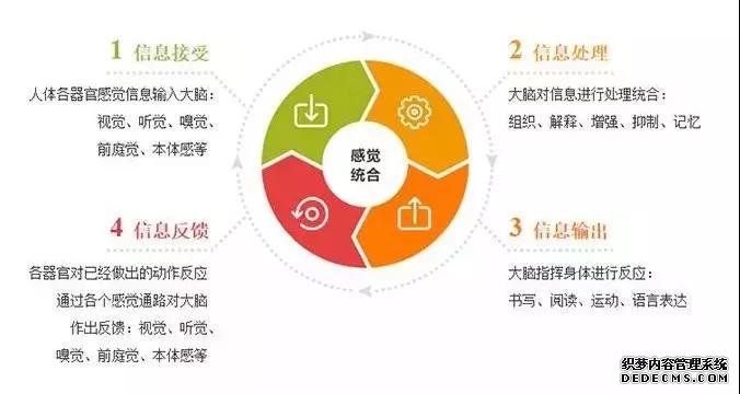 400+内容的七彩快乐学习点读卡1分钟破万