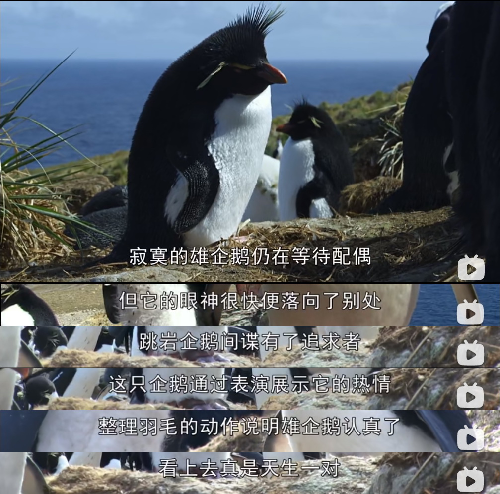 1610285943169308.jpg 企鹅群里有特务.jpg