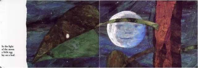 1611228826600421.jpeg 1611112772523357.jpeg