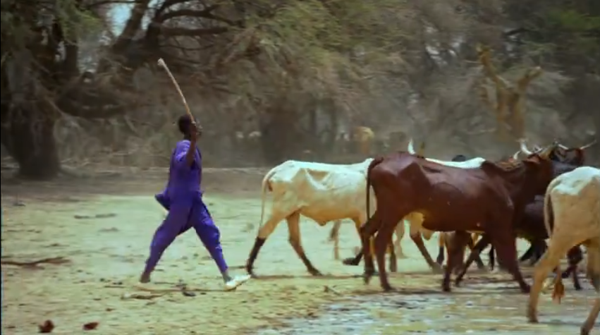 1591459515958126.png image.png