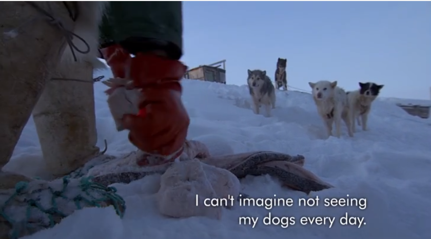 1591459724590174.png image.png