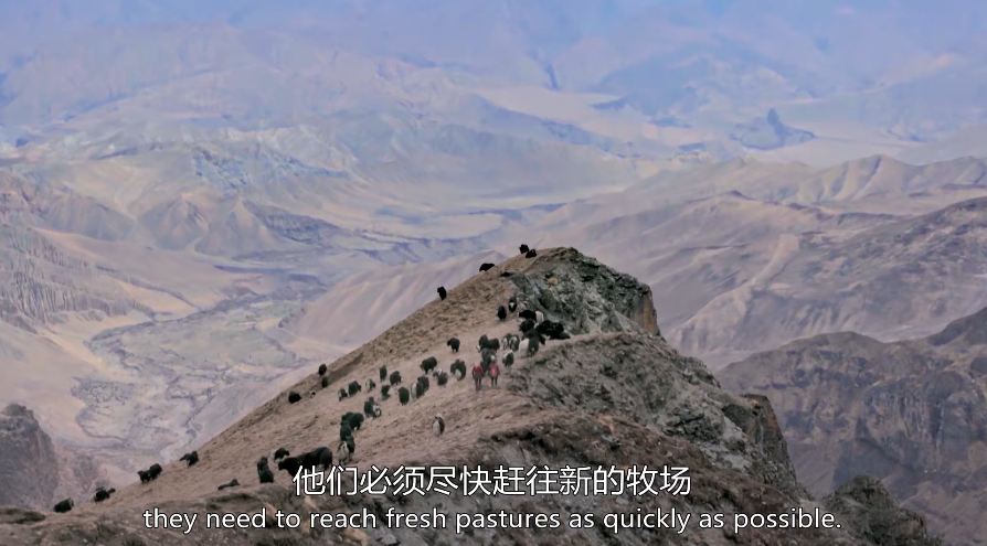 1593847863495200.png image.png