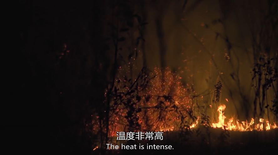 1593847903201068.png image.png