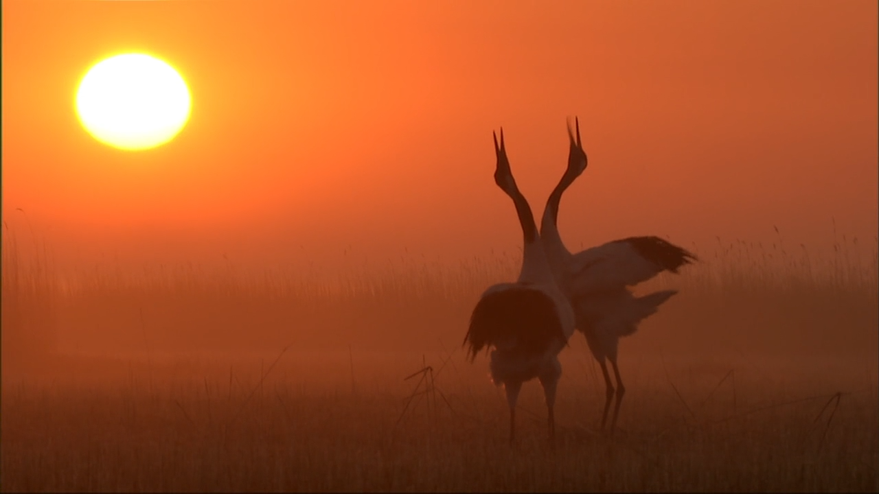 1593587943273212.png image.png