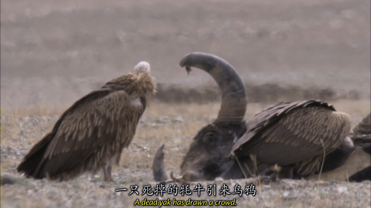 1593588053426557.png image.png