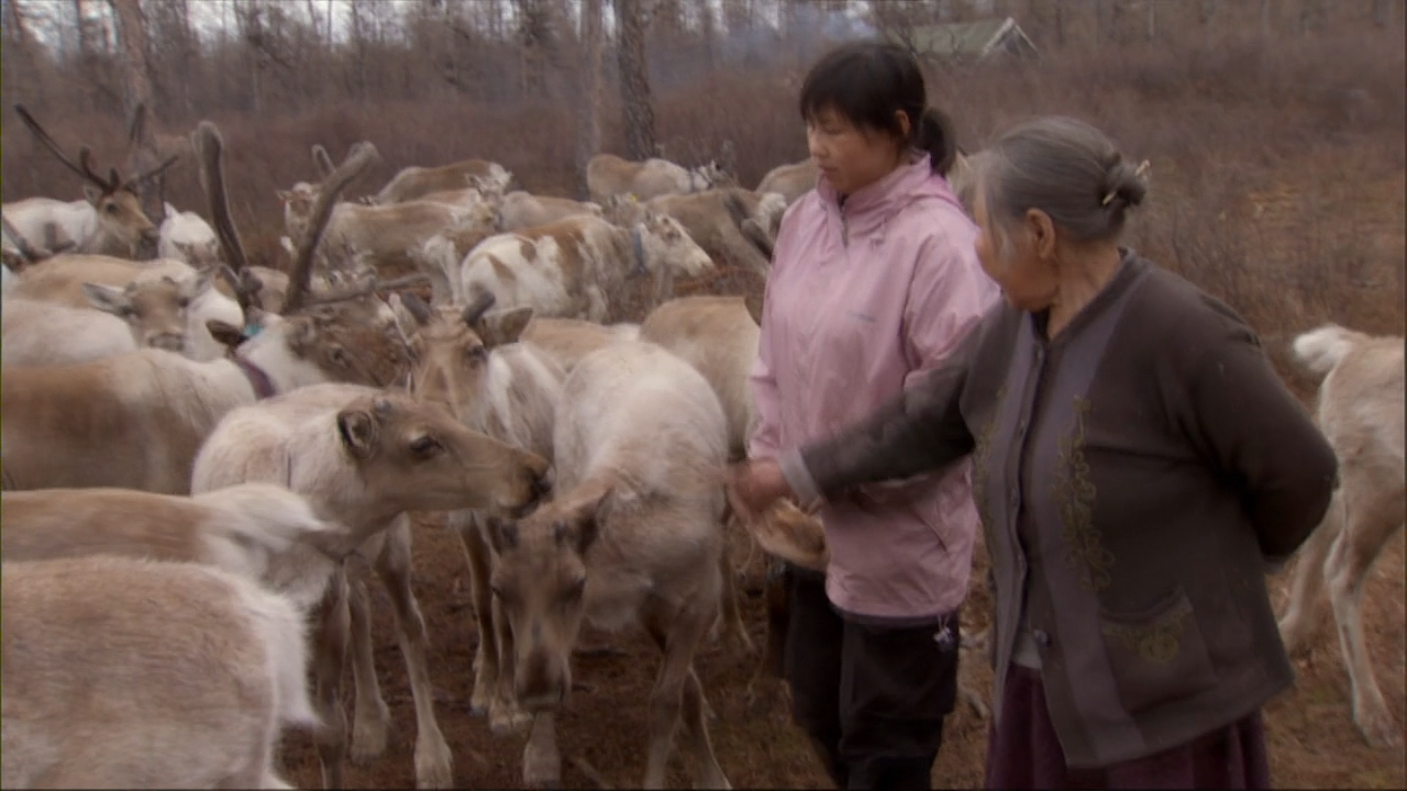 1593588097786891.png image.png