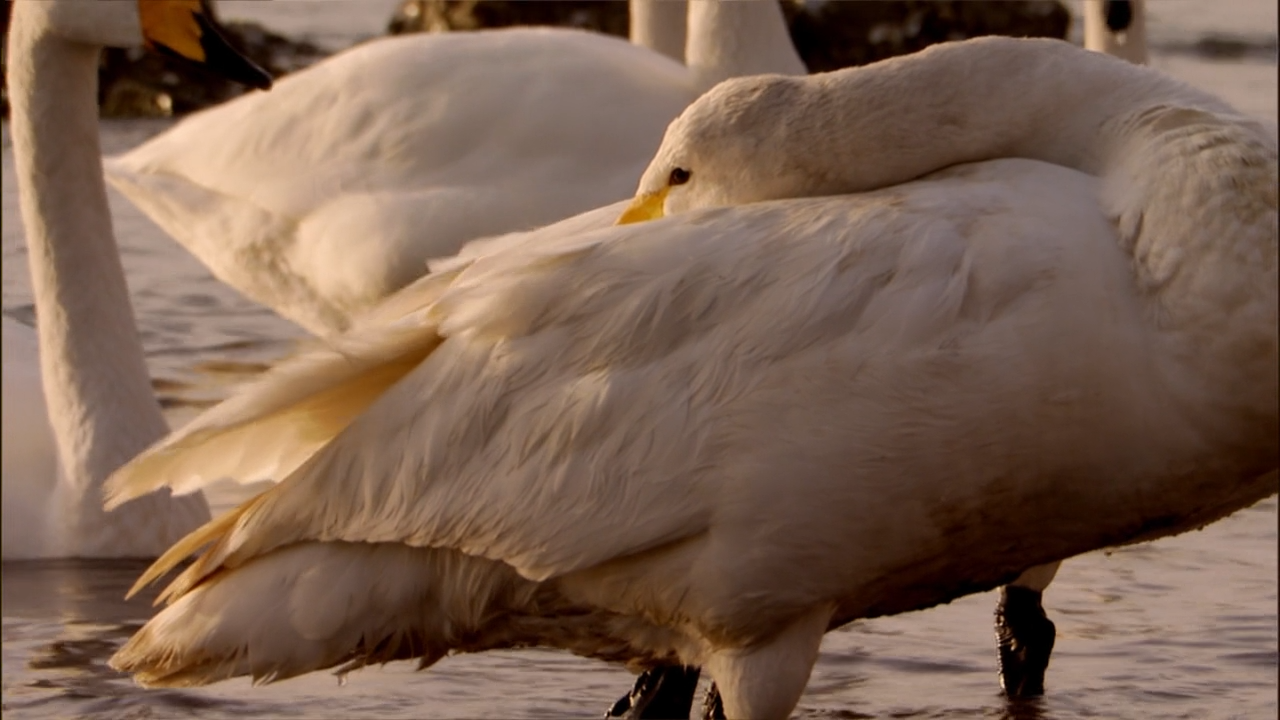 1593588141604238.png image.png