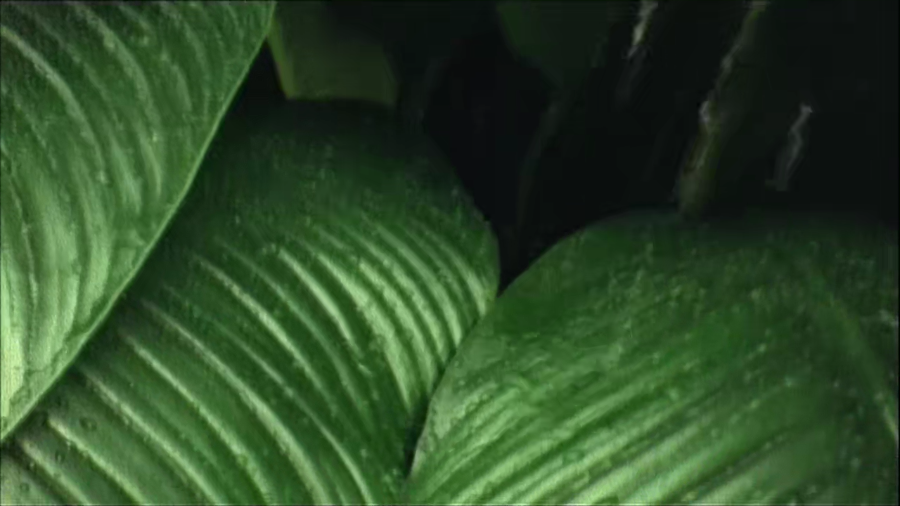 1593586811909686.png image.png