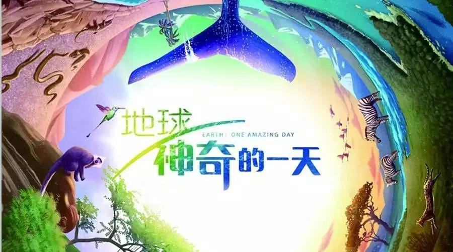 1593584115935872.jpg timg.jpg