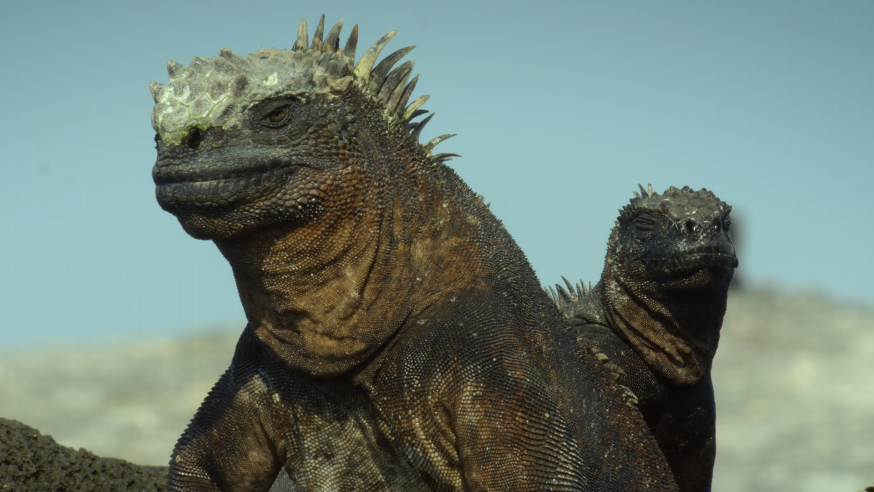 1593586264498536.png image.png