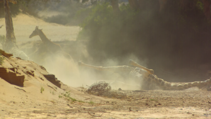 1593586277922105.png image.png