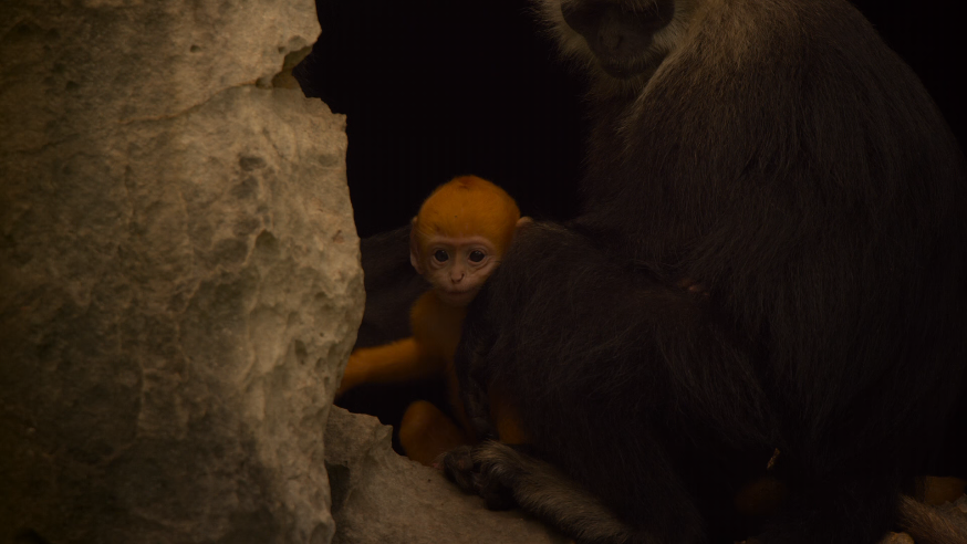 1593586291733663.png image.png