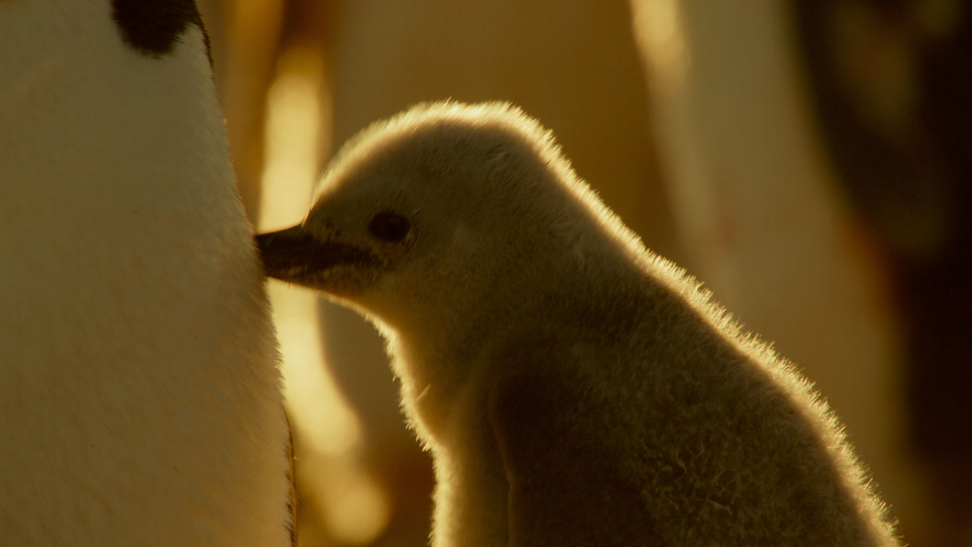 1593586304648606.png image.png