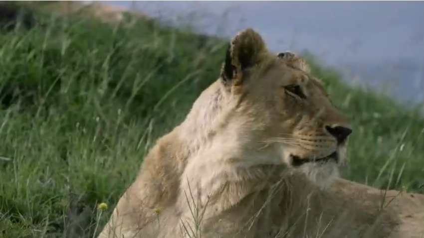 1593521342290562.png image.png