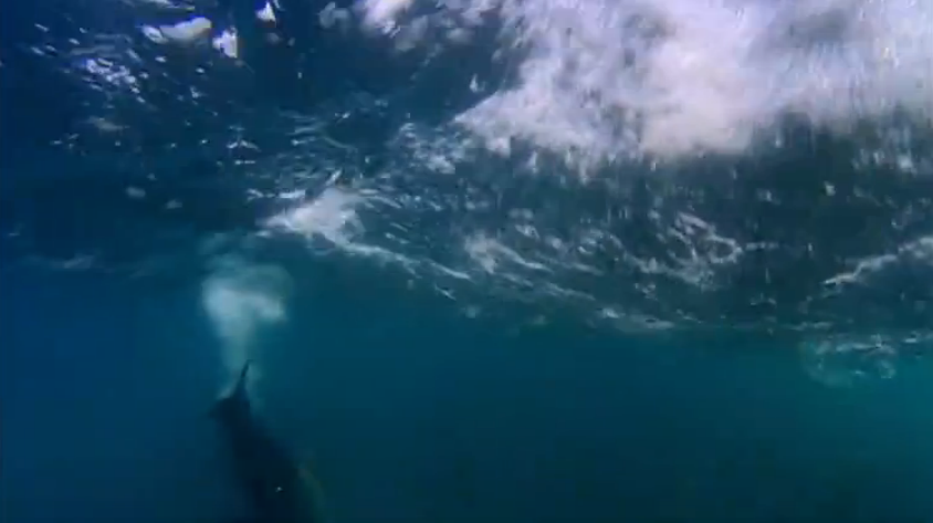 1592115769719135.png image.png