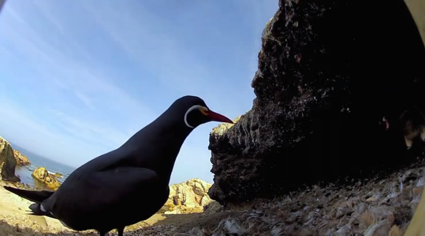 1592115607890230.png image.png