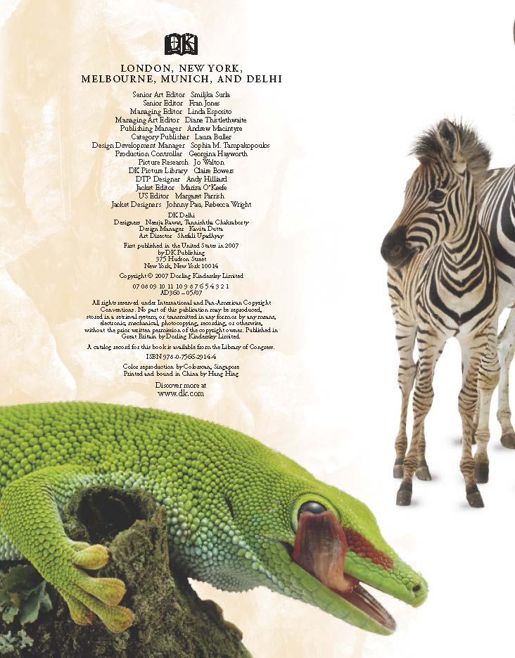 1711407431576366.jpg Amazing Animals Q %26 A_页面_07.jpg