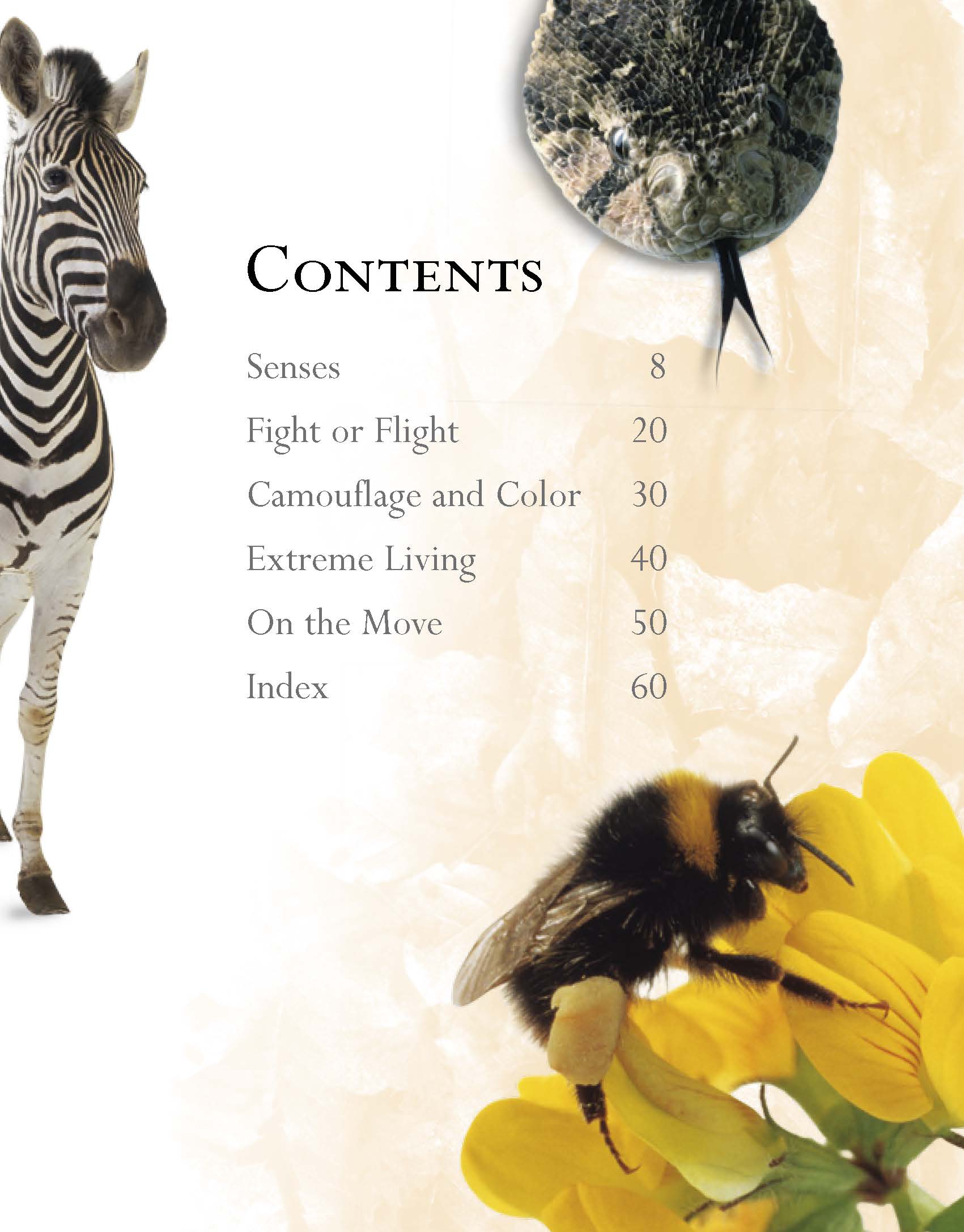 1711407442427549.jpg Amazing Animals Q %26 A_页面_08.jpg