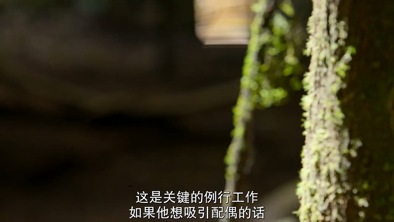 1593850863988554.png image.png