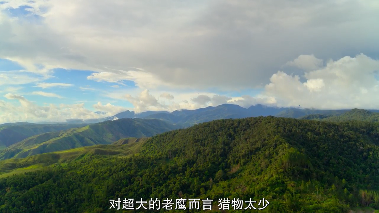 1593850877345461.png image.png