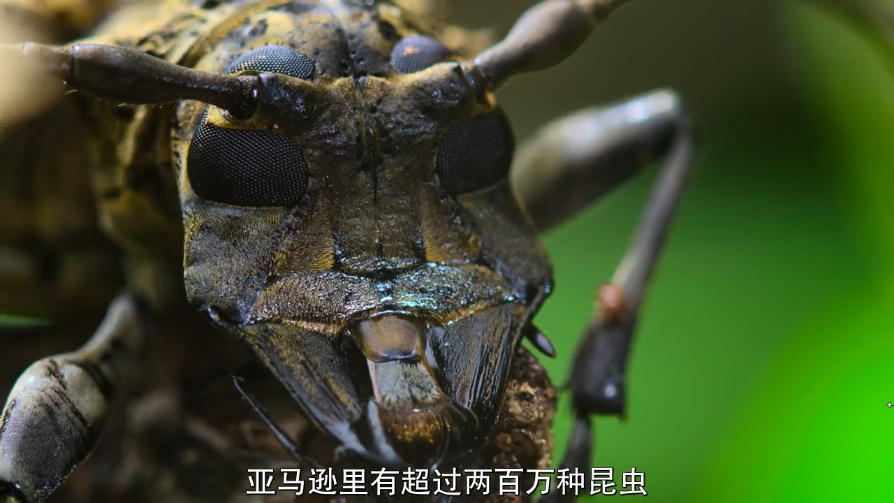 1593850891427006.png image.png