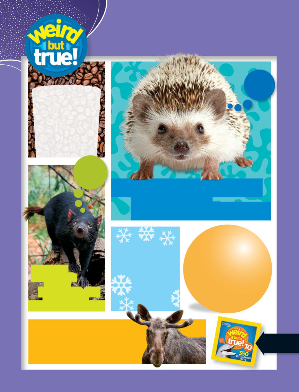 1698807408419382.jpg National_Geographic_Kids_USA_-_November_2023.jpg