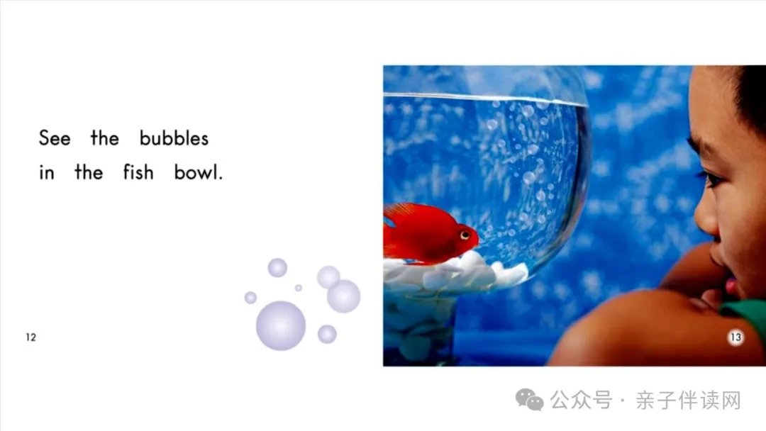 1711296648648873.jpg 001.JPG