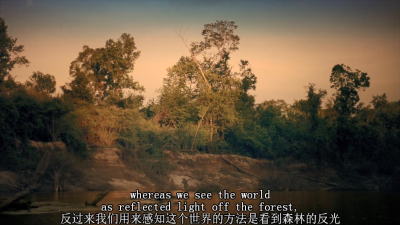 1630402970829523.jpg 生命的奇迹.BBC.Wonders.of.Life.2013.EP02.Expanding.Universe.BDRip.X264.iNT-TLF.mkv_20210831_174119060.jpg