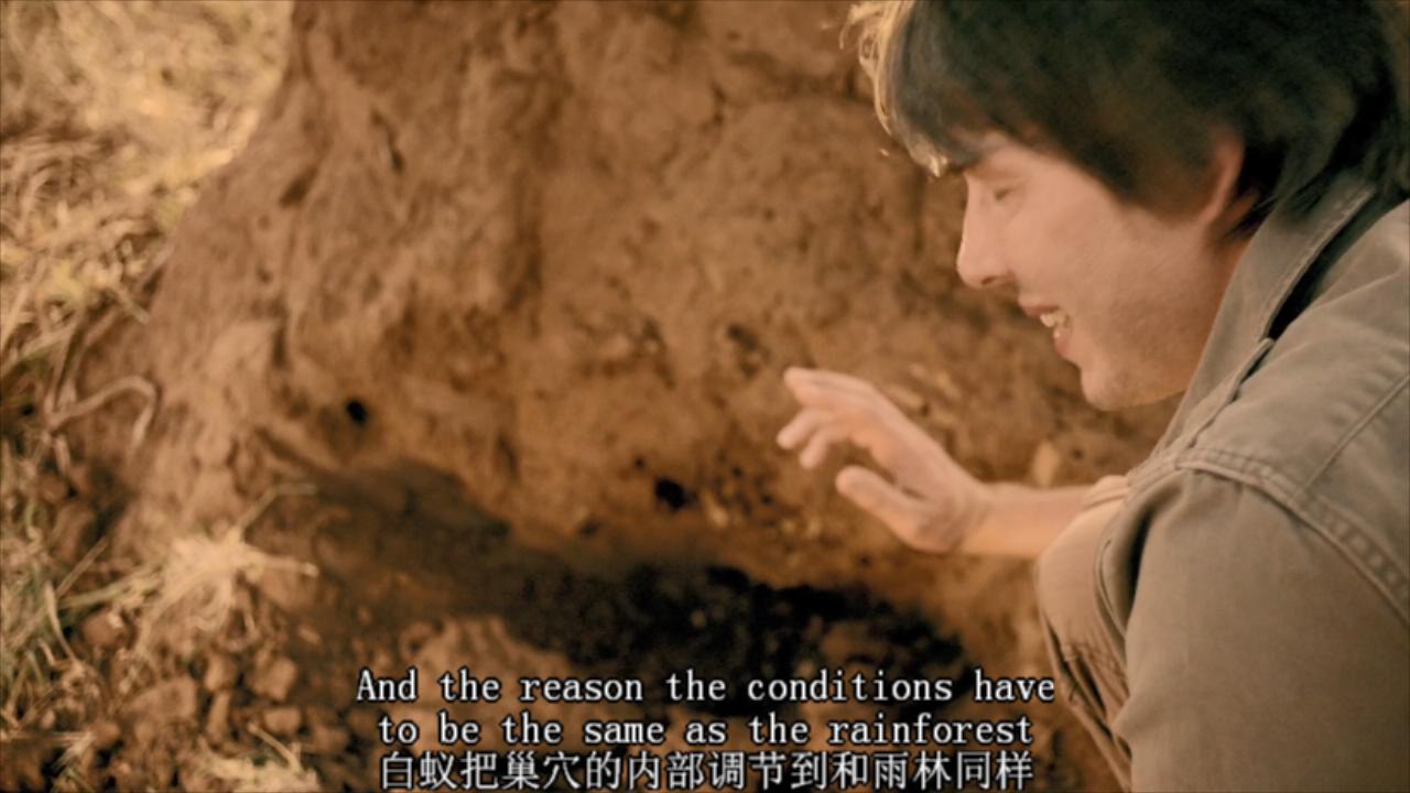 1630402980497401.jpg 生命的奇迹.BBC.Wonders.of.Life.2013.EP03.Endless.Forms.Most.Beautiful.BDRip.X264.iNT-TLF.mkv_20210831_174130653.jpg