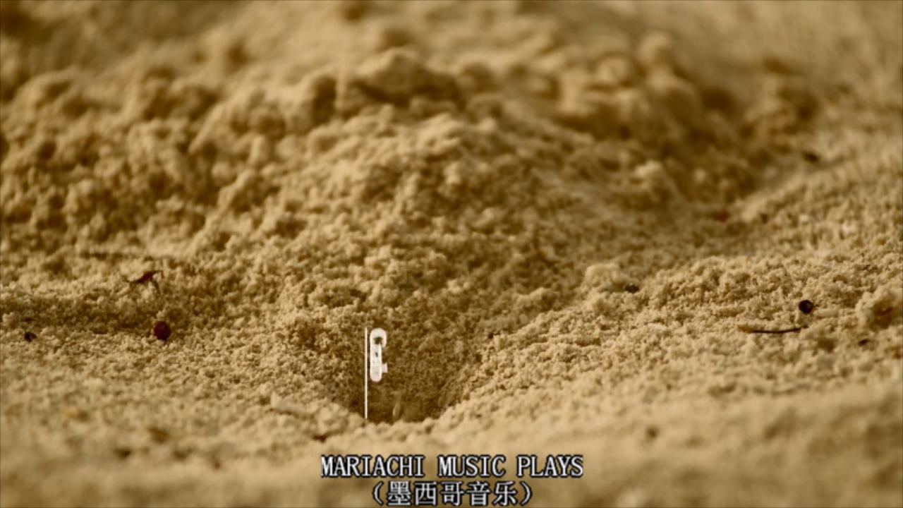 1630403002431377.jpg 生命的奇迹.BBC.Wonders.of.Life.2013.EP05.Home.BDRip.X264.iNT-TLF.mkv_20210831_174152156.jpg