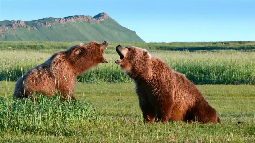 1702190586316370.jpg 640 (1).jpg